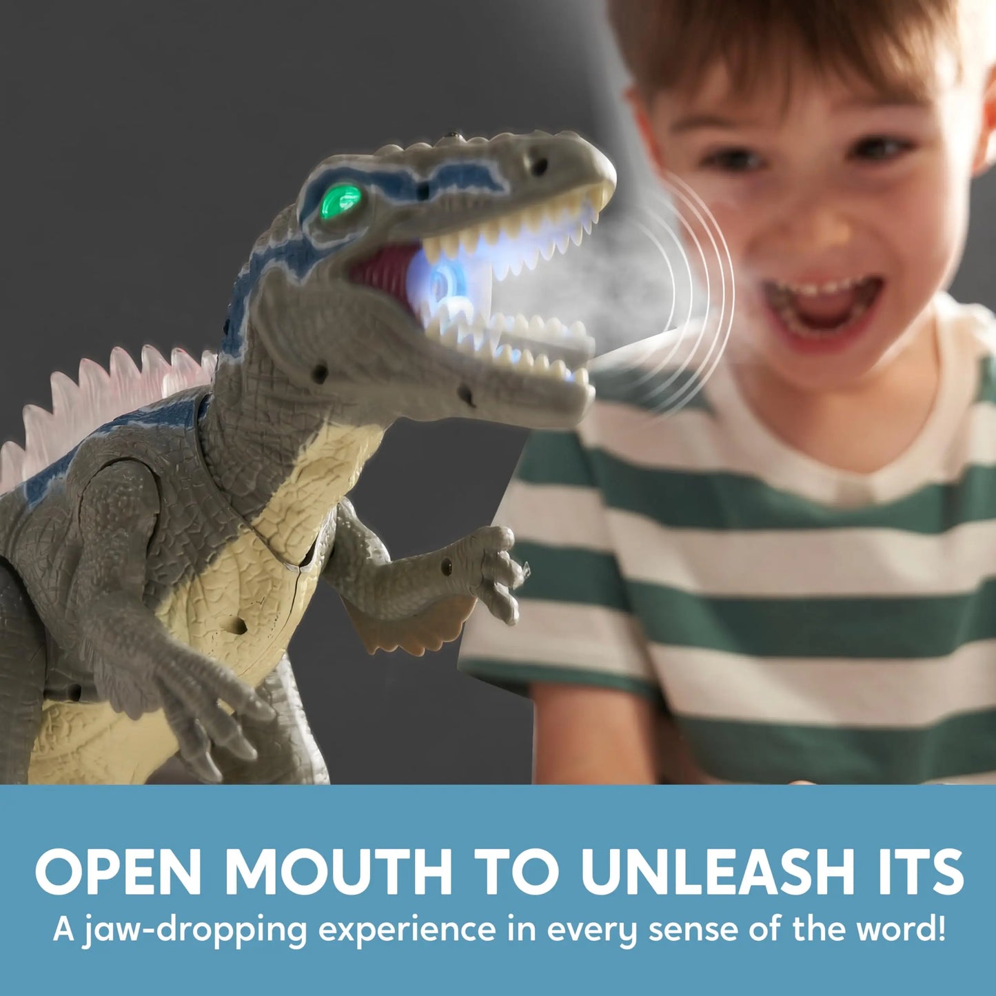 Remote Control Dinosaur Toy